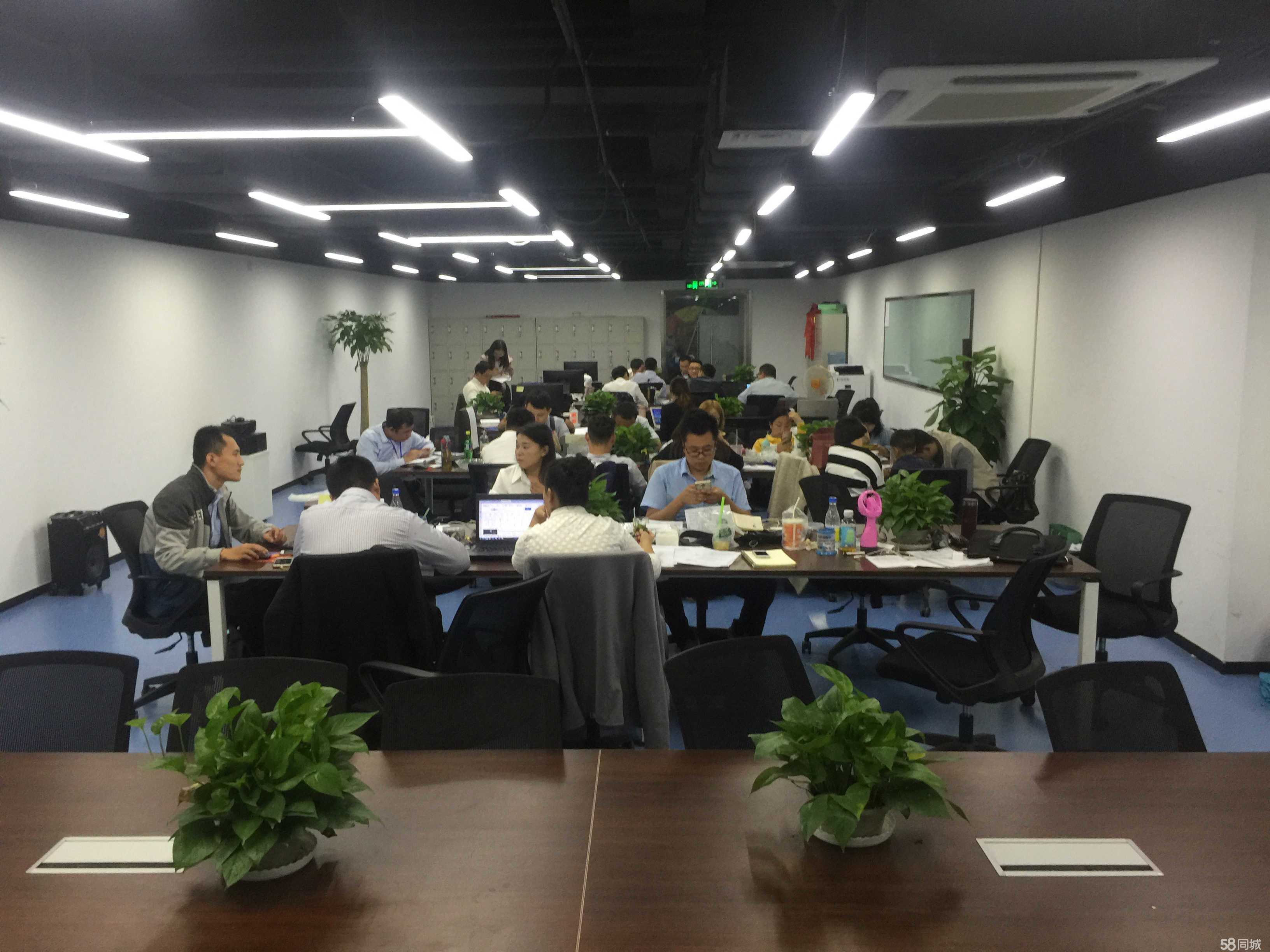 點(diǎn)榮商務(wù)信息咨詢 專業(yè)助力企業(yè)智慧決策